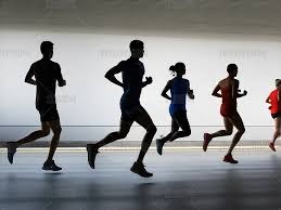 综合体育长期赛事观察 持续追踪竞技变化